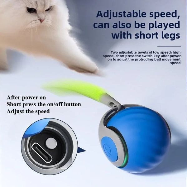 Smart Play Cat Ball