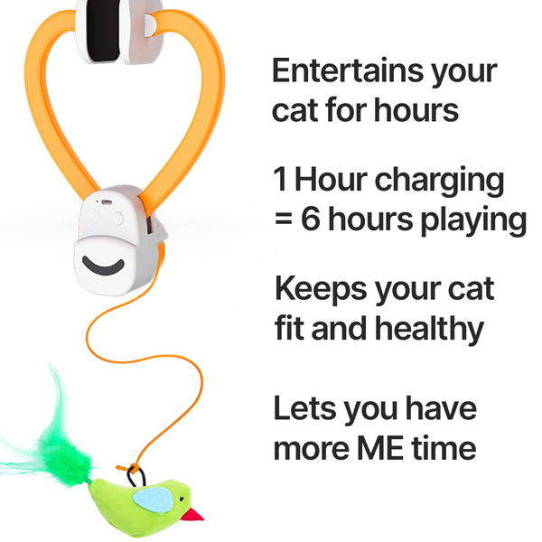 Whisker Wonder Play Toy