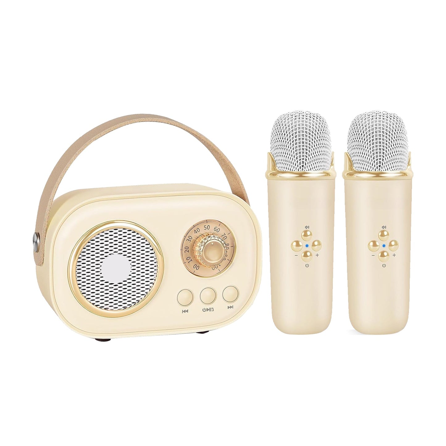 Portable Karaoke Party Set