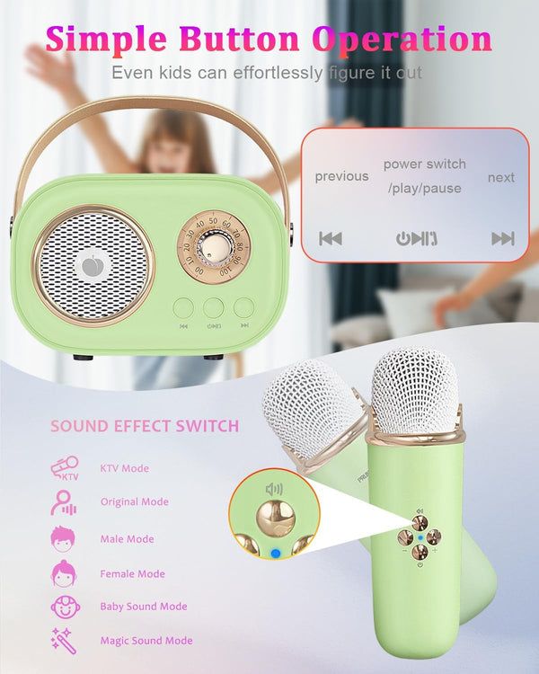 Portable Karaoke Party Set
