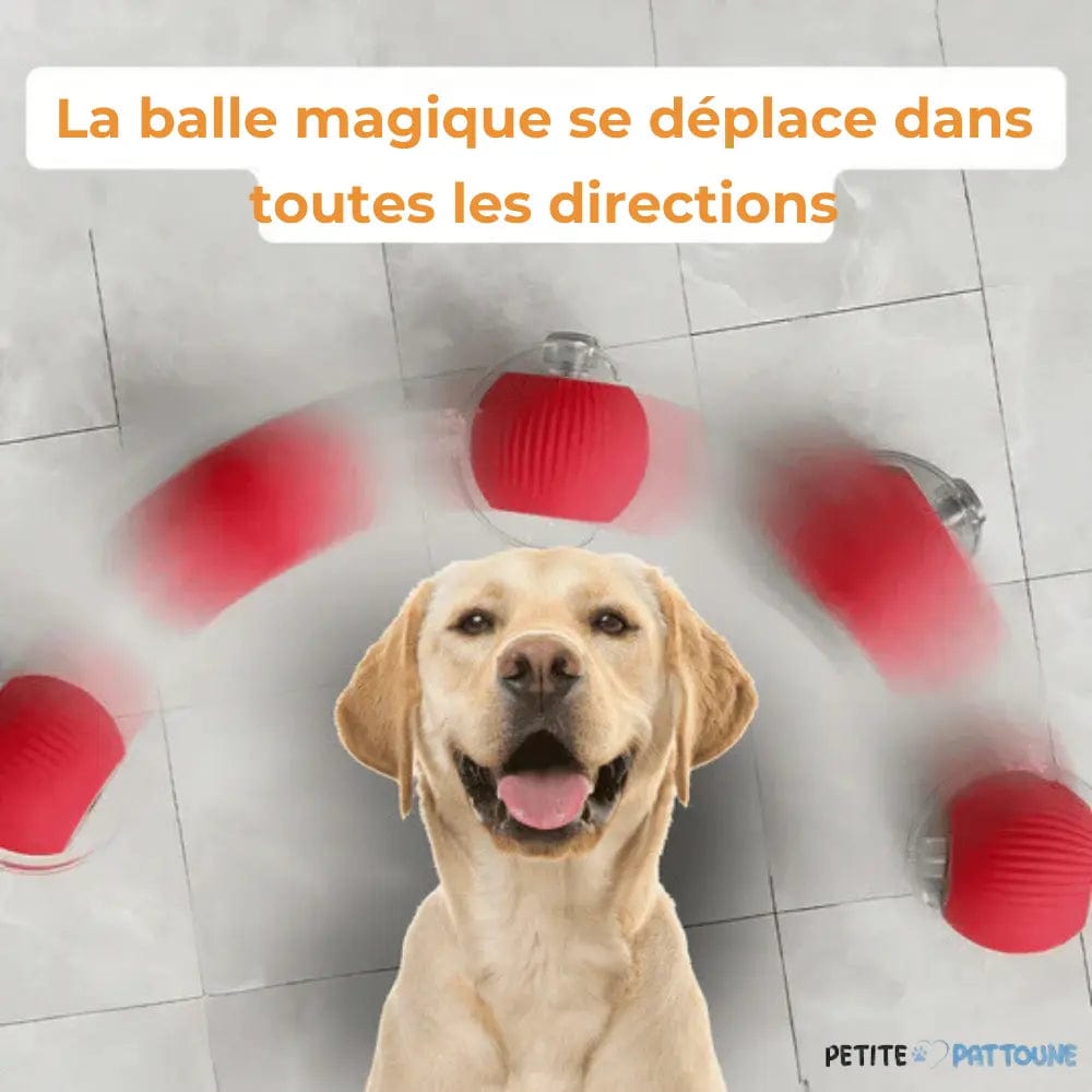 Magic Play Ball for Dogs