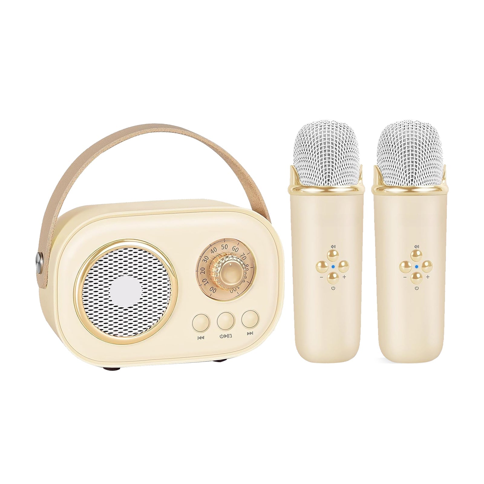 Portable Karaoke Party Set
