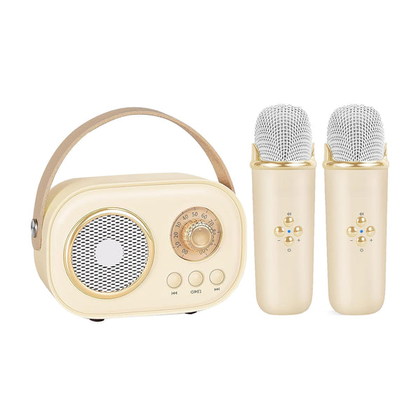 Portable Karaoke Party Set