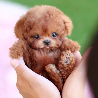 Lifelike Robot Puppy Companion