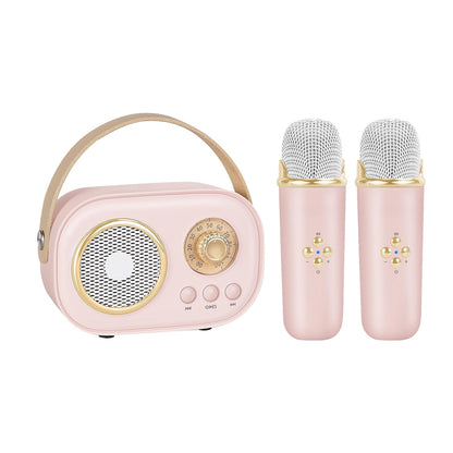 Portable Karaoke Party Set