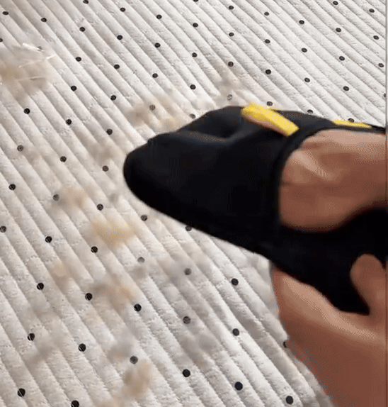 Shedly Sweep Pro
