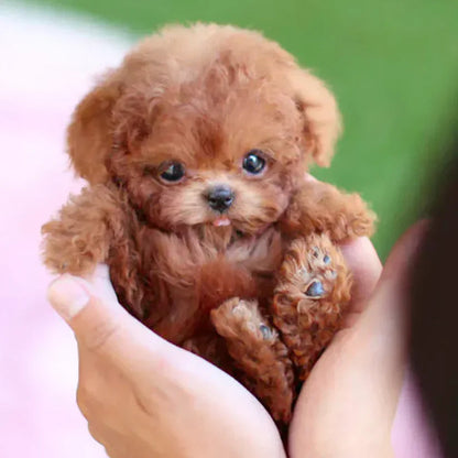 Lifelike Robot Puppy Companion