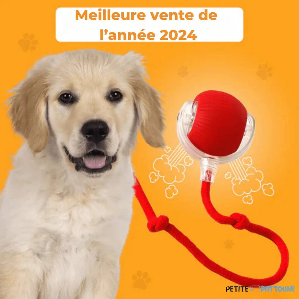 Magic Play Ball for Dogs