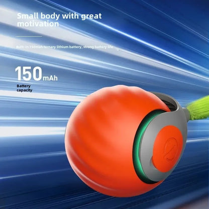 Smart Play Cat Ball